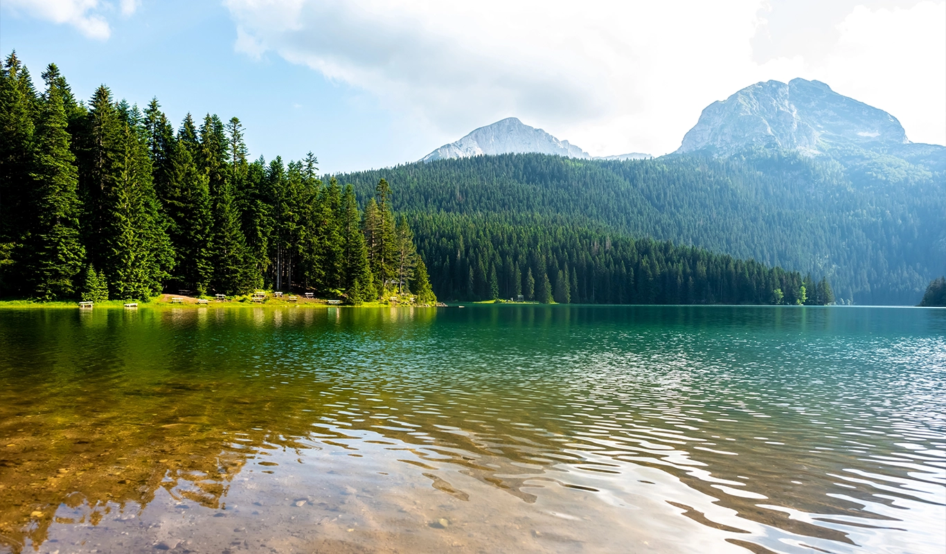 Installations banner